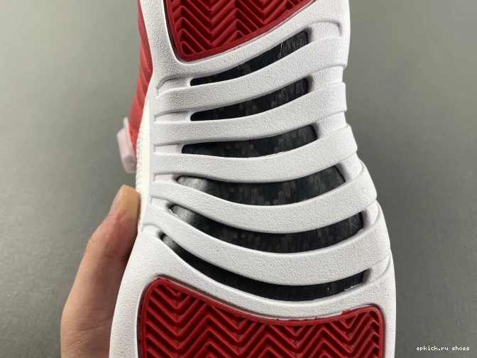 Cheap 130690-600 Air Jordan 12 Alternate 0703